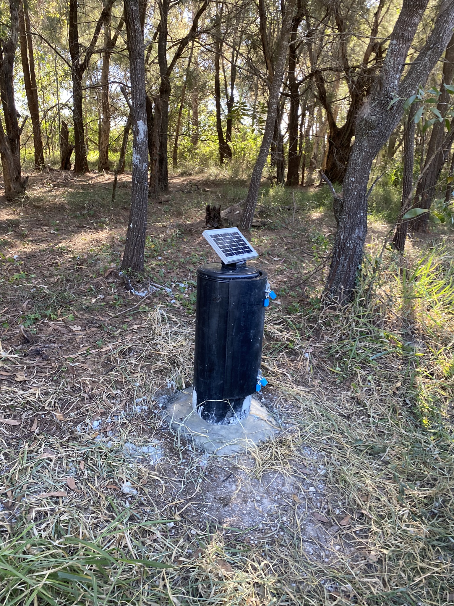 Project and field work imagery